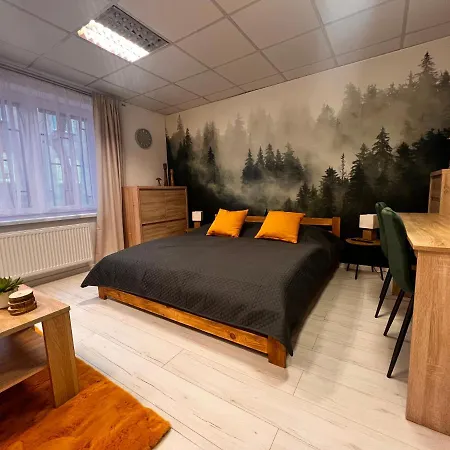 V Centre - Vlastna Izba So Spolocnou Kuchynou A Kupelnou Moze Zdielana 2 Inymi Izbami Apartman
