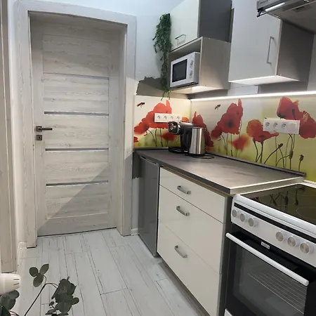 Apartamento Apártmany V Centre - Vlastná Izba So Spoločnou Kuchyňou A Kúpeľnou Môže Byť Zdieľaná 2 Inými Izbami