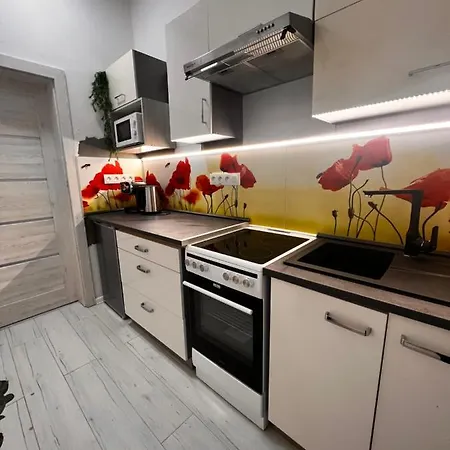 V Centre - Vlastna Izba So Spolocnou Kuchynou A Kupelnou Moze Zdielana 2 Inymi Izbami