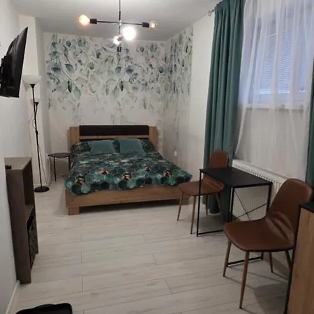 아파트 V Centre - Vlastna Izba So Spolocnou Kuchynou A Kupelnou Moze Zdielana 2 Inymi Izbami *